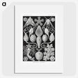 2-36_Ernst-Haeckel_picture