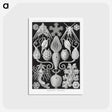 2-36_Ernst-Haeckel_postcard