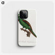 2-36_Francois-Levaillant_phone