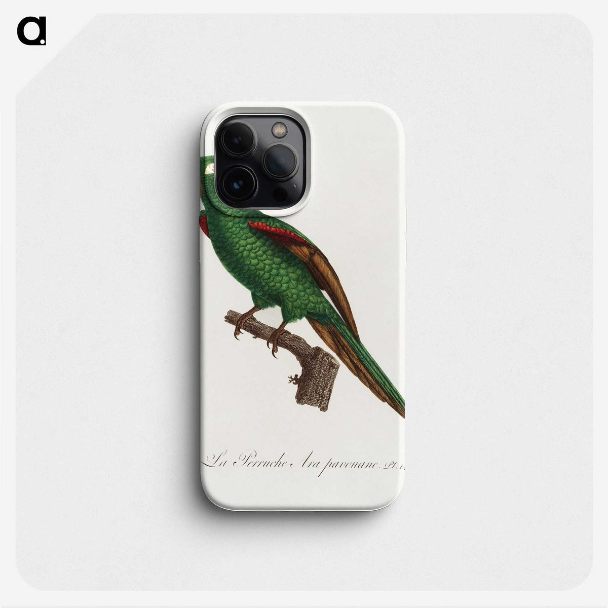 2-36_Francois-Levaillant_phone