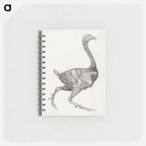 アートメモ帳-Fowl Body, Lateral View
 - ジョージ スタッブス Memo.