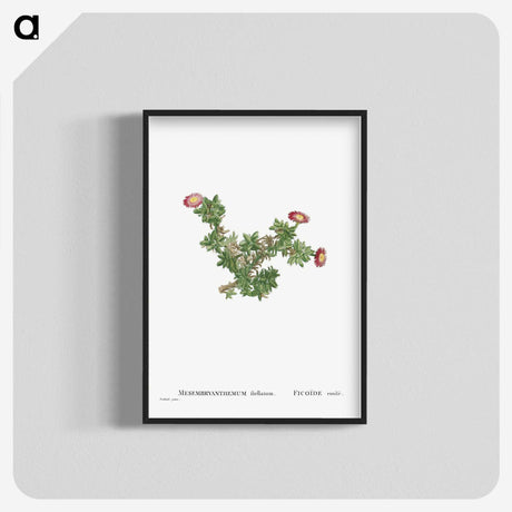 2-36_Histoire-des-Plantes-Grasses_blk-crop
