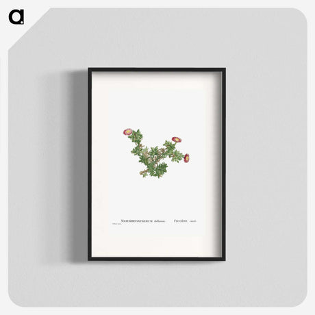 2-36_Histoire-des-Plantes-Grasses_blk