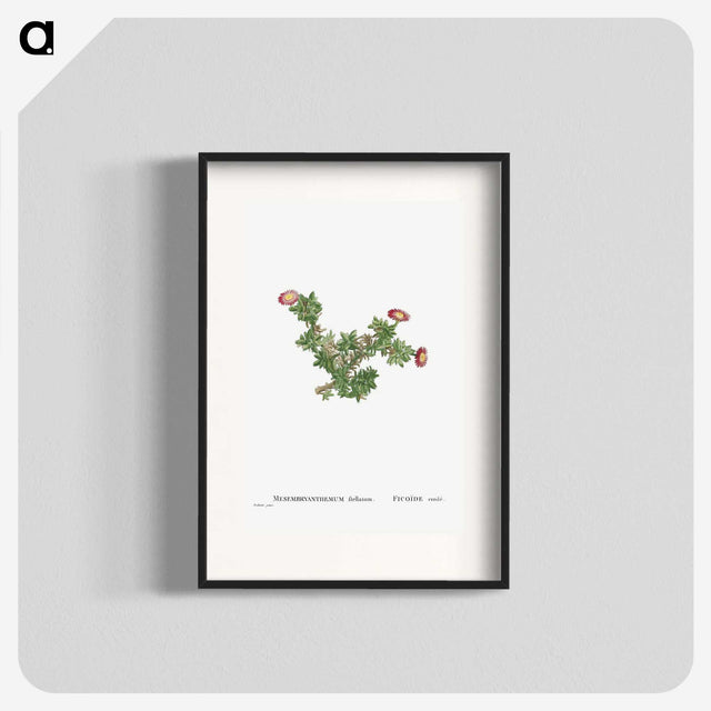 2-36_Histoire-des-Plantes-Grasses_blk