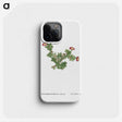 2-36_Histoire-des-Plantes-Grasses_phone