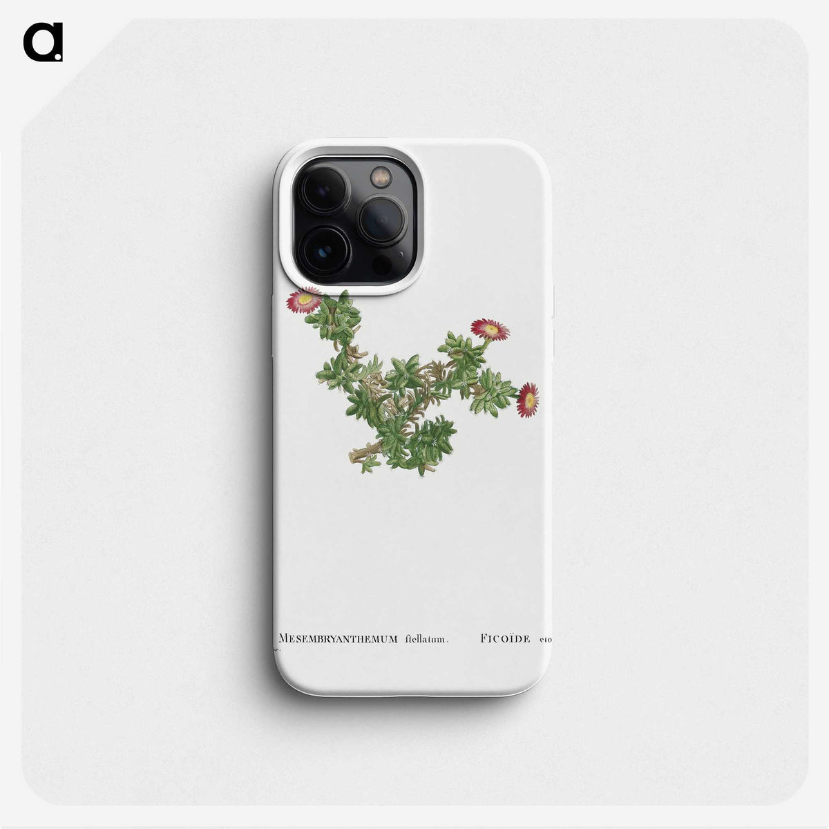 2-36_Histoire-des-Plantes-Grasses_phone