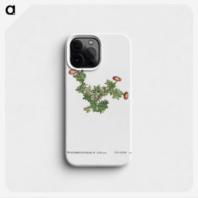 2-36_Histoire-des-Plantes-Grasses_phone