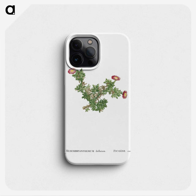 2-36_Histoire-des-Plantes-Grasses_phone