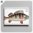 2-36_Ichtyologie-ou-Histoire-naturelle_canvas