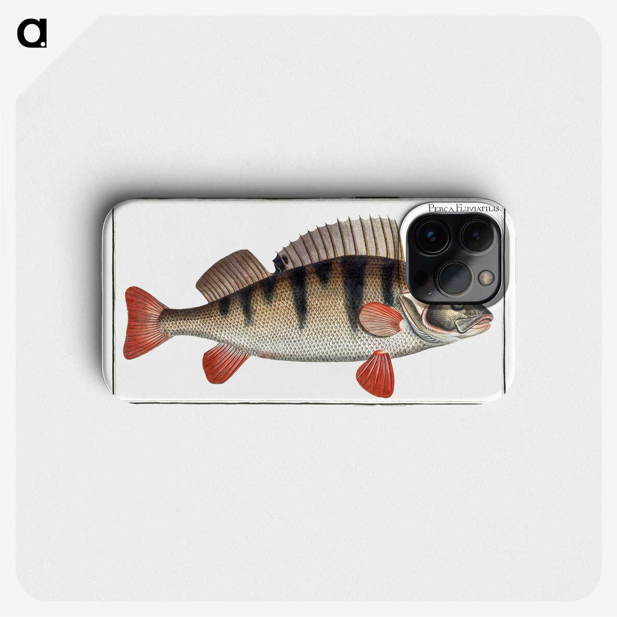 2-36_Ichtyologie-ou-Histoire-naturelle_phone