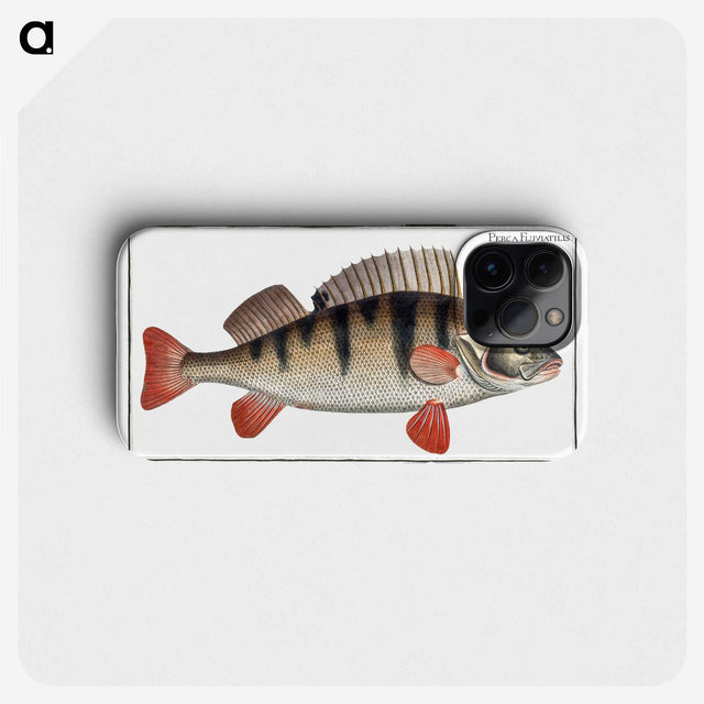 2-36_Ichtyologie-ou-Histoire-naturelle_phone