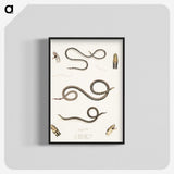 2-36_Indian-Zoology_blk-crop