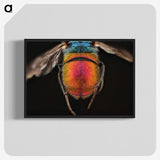 2-36_Insects-Unlocked-Project_blk-crop