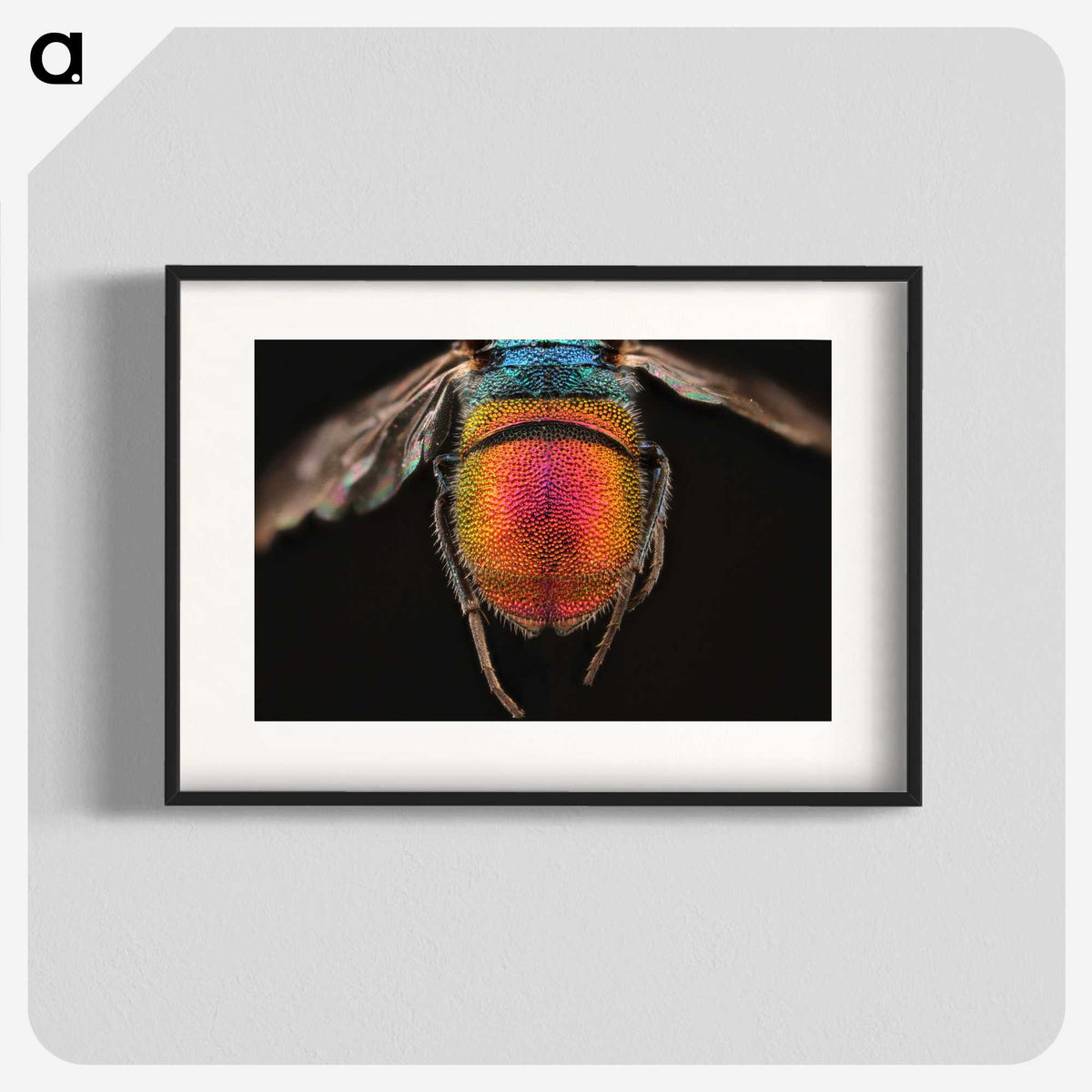 2-36_Insects-Unlocked-Project_blk