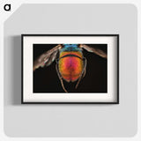 2-36_Insects-Unlocked-Project_blk