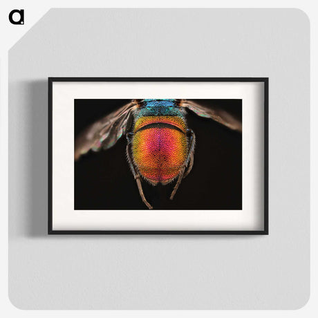 2-36_Insects-Unlocked-Project_blk