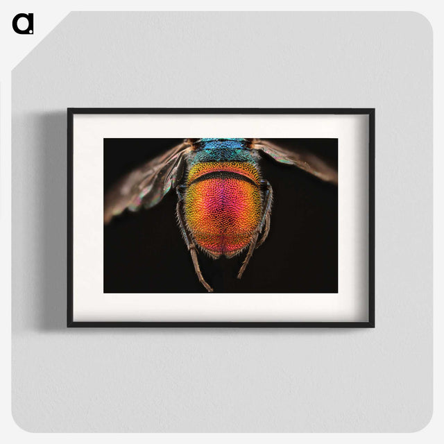 2-36_Insects-Unlocked-Project_blk