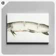 アートパネル-Pike, with two notches - ジャン ベルナール Canvas.