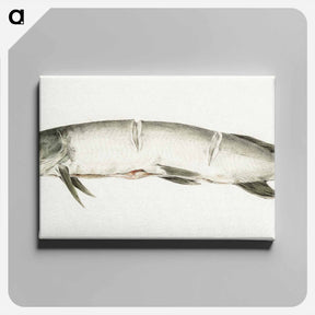 アートパネル-Pike, with two notches - ジャン ベルナール Canvas.