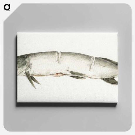 アートパネル-Pike, with two notches - ジャン ベルナール Canvas.