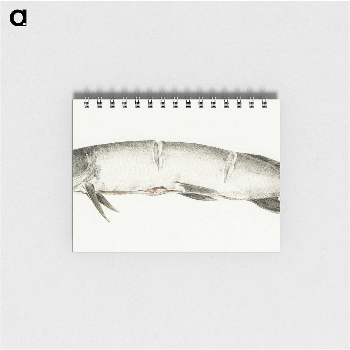 2-36_Jean-Bernard_memo