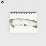 2-36_Jean-Bernard_memo