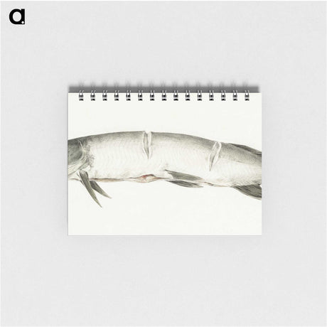 2-36_Jean-Bernard_memo