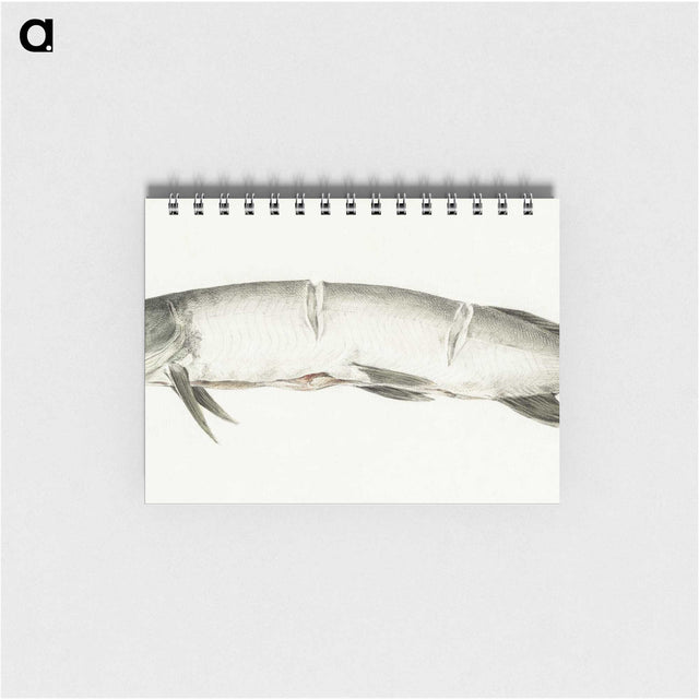 2-36_Jean-Bernard_memo