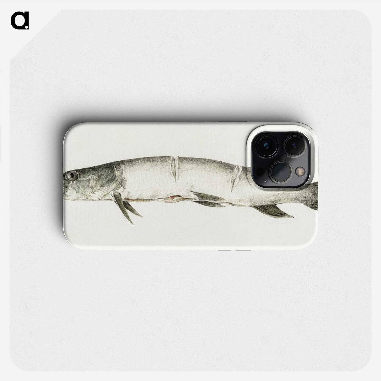 2-36_Jean-Bernard_phone
