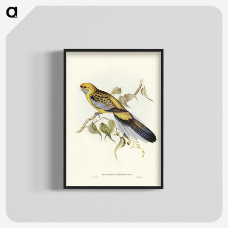2-36_John-Gould_blk-crop