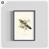 2-36_John-Gould_blk