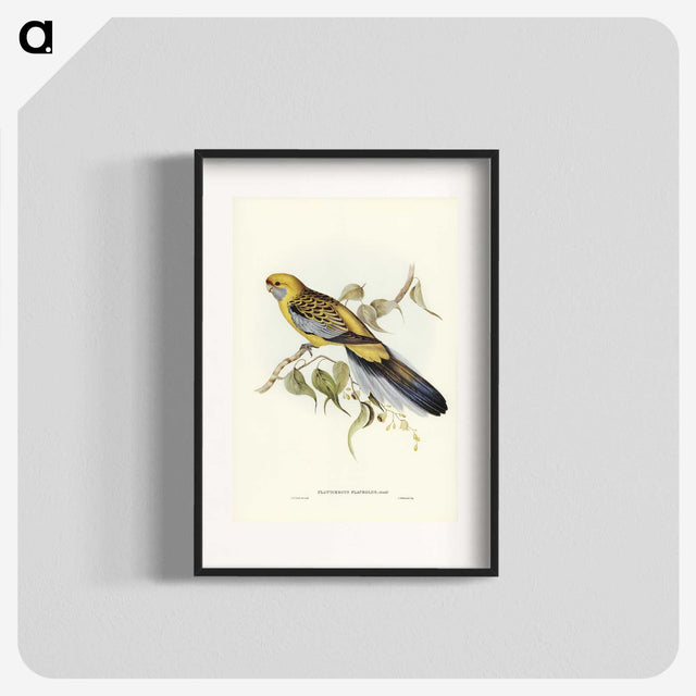 2-36_John-Gould_blk