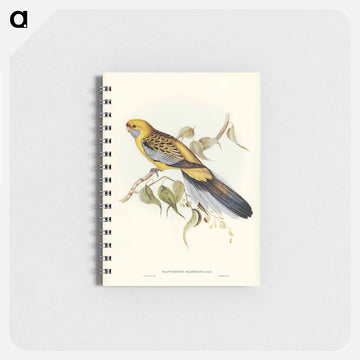 Yellow-rumped Parakeet
 - ジョン グールド Memo.