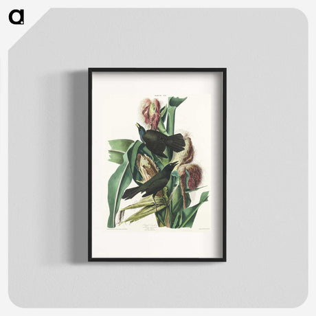 2-36_John-James-Audubon_blk