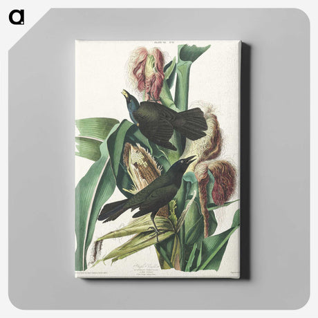 2-36_John-James-Audubon_canvas