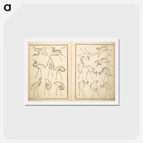 アートポストカード-Transmitting the Spirit, Revealing Form of Things: Picture Album of Drawings at One Stroke - 葛飾 北斎 Postcard.