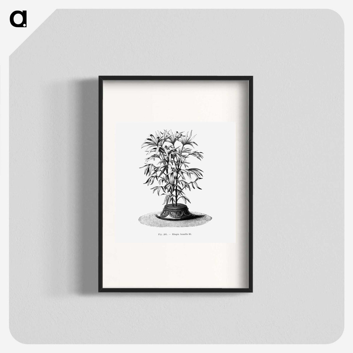 2-36_Les-Palmiers-Histoire-Iconographique_blk