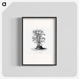 2-36_Les-Palmiers-Histoire-Iconographique_blk