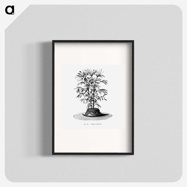 2-36_Les-Palmiers-Histoire-Iconographique_blk