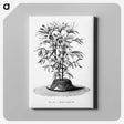 2-36_Les-Palmiers-Histoire-Iconographique_canvas