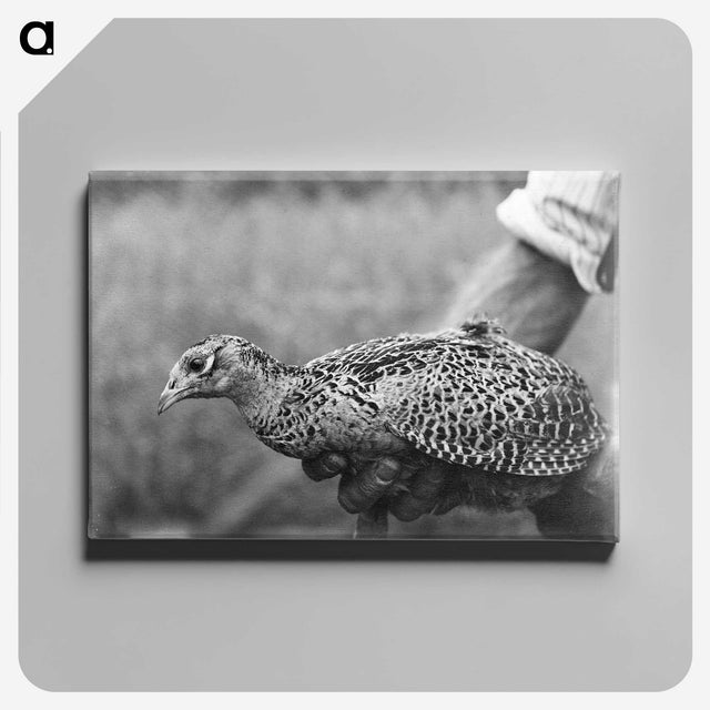 2-36_Leslie-Adkin_canvas