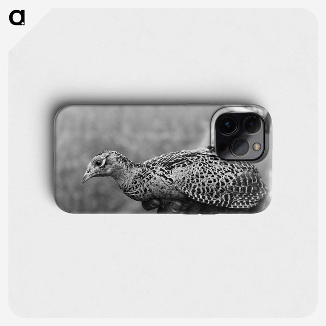 2-36_Leslie-Adkin_phone