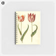 アートメモ帳-Tulipa gesneriana
 - マリア ジビーラ メーリアン Memo.