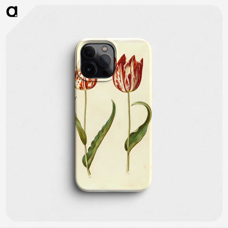2-36_Maria-Sibylla-Merian_phone