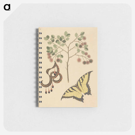 アートメモ帳-Cat's Claw
 - マーク ケイツビー Memo.