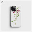 2-36_Mary-Vaux-Walcott_phone