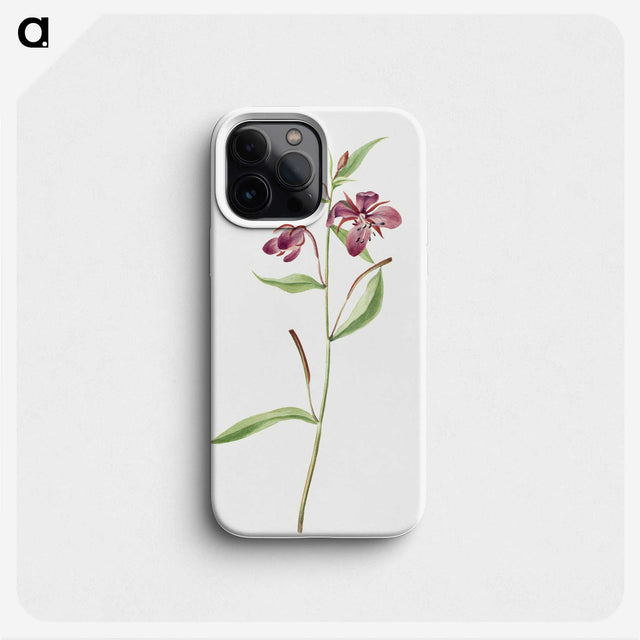 2-36_Mary-Vaux-Walcott_phone