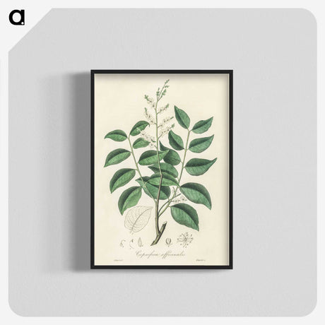 2-36_Medical-Botany_blk-crop