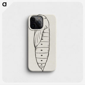 2-36_Moths-and-Butterflies-of-the-United-States_phone