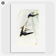 2-36_Ohara-Koson_picture
